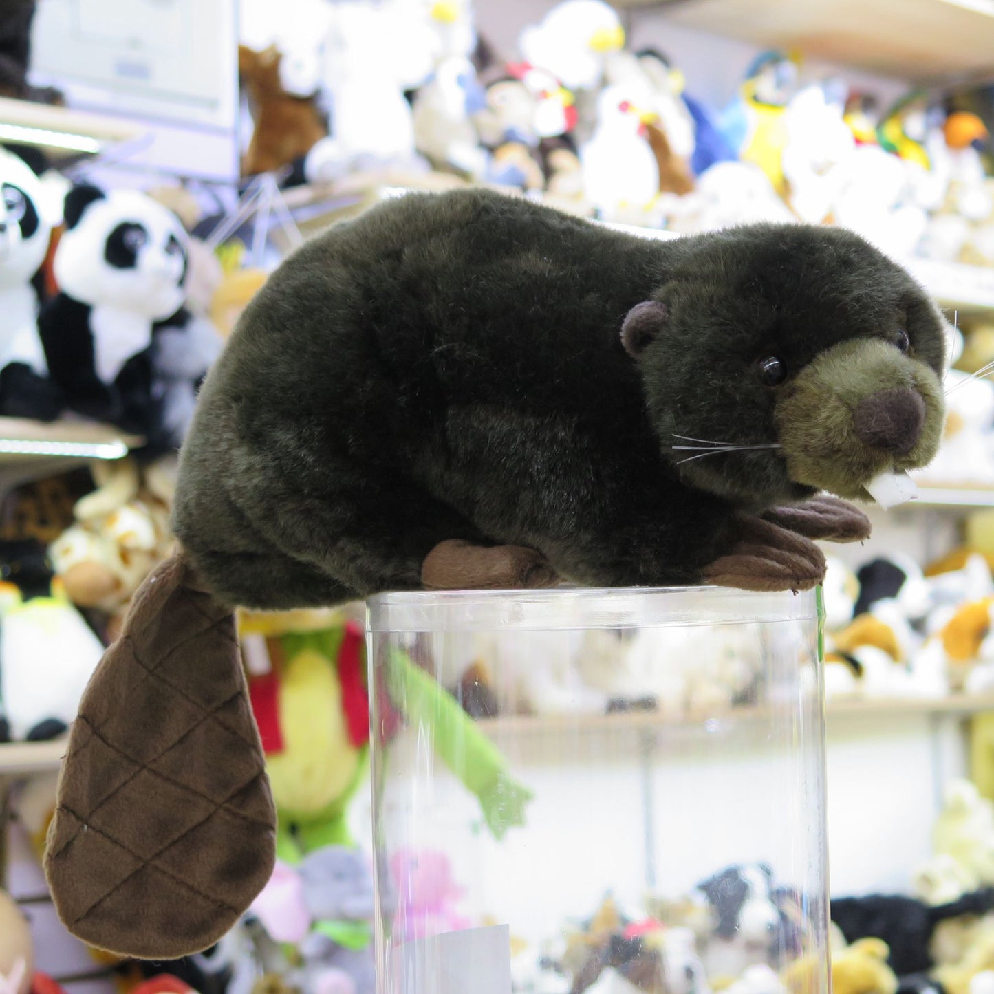 River animal plush toys