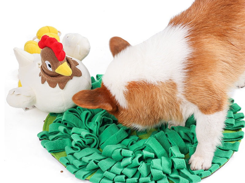 Pet Hen Incubating Egg Puzzle Sniffing Mat Toy Set