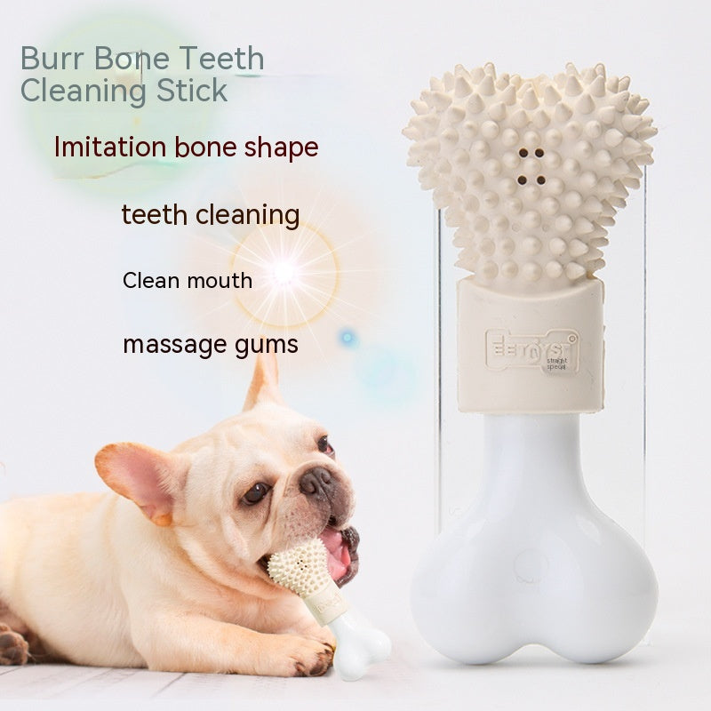 Jouet pour chien dentifrice rechargeable en os