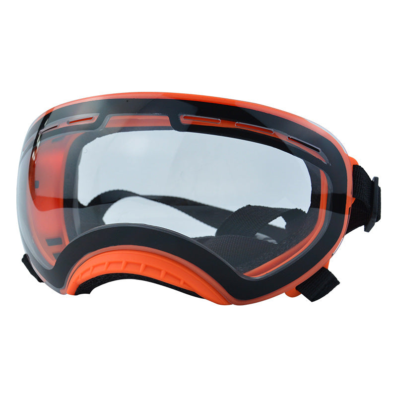 Lunettes coupe-vent pour animaux de compagnie avec protection UV