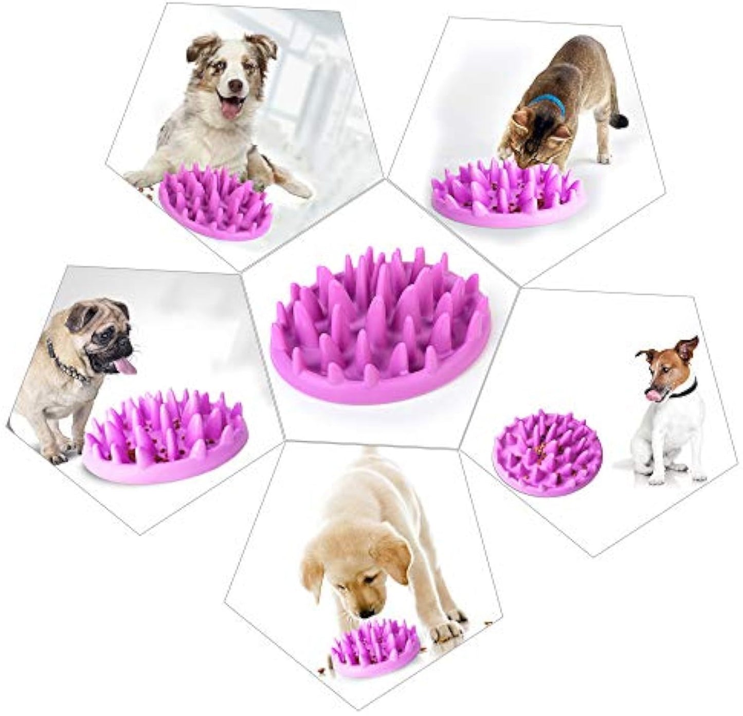 Bol à alimentation lente pour chat Bol d'alimentation pour chat antidérapant Anti-étouffement Bol de nourriture pour chien Puzzle Jungle Attrape-chat Mangeoire interactive adaptée au chien