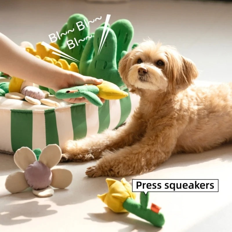 Jouets éducatifs de fuite de nourriture pour chien de compagnie