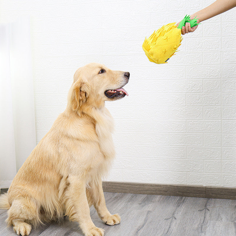 Household Pineapple Sniffing Pet Toy