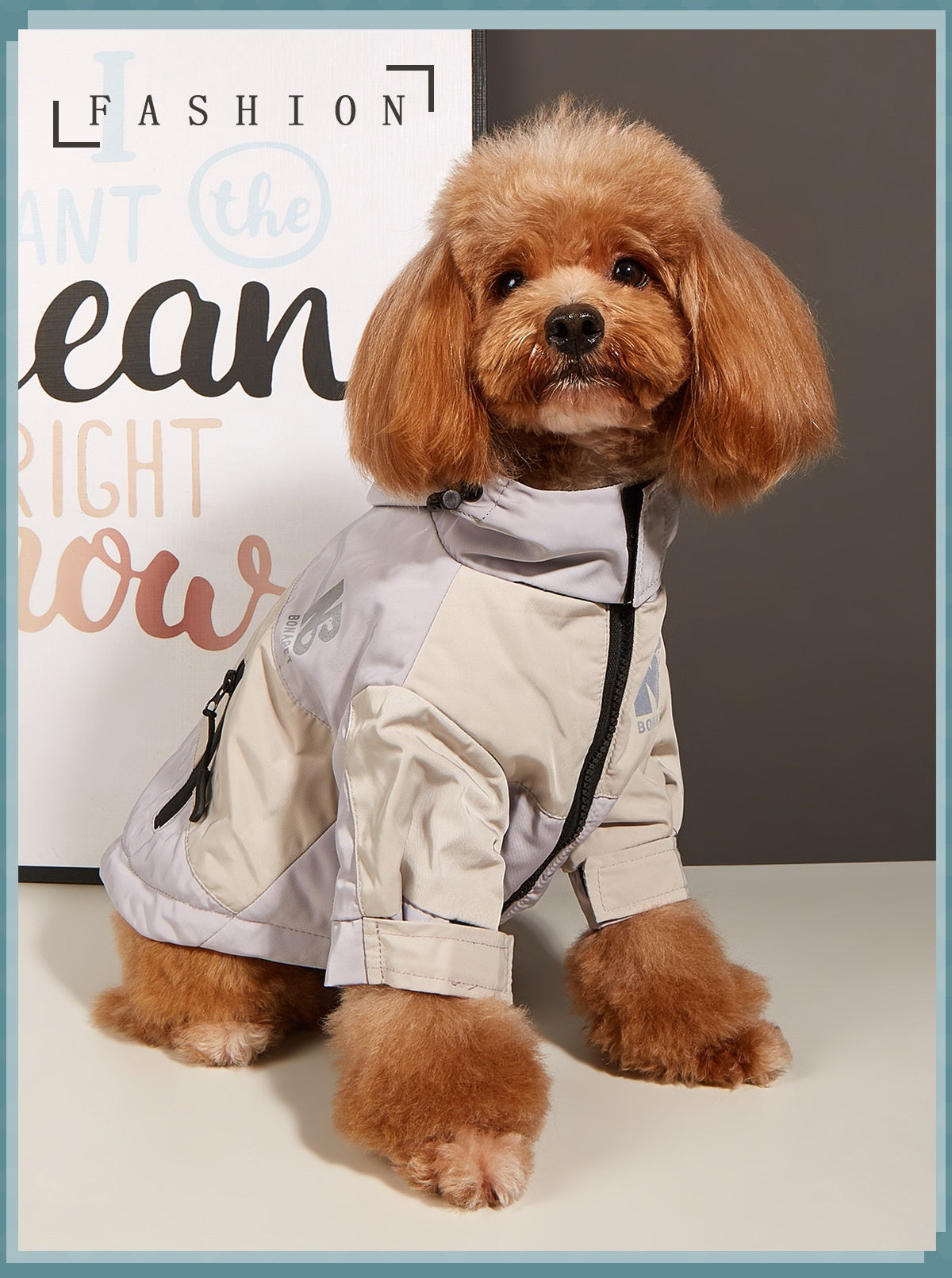 Ropa para perros Chaqueta Otoño e Invierno Impermeable Cálido Impermeable