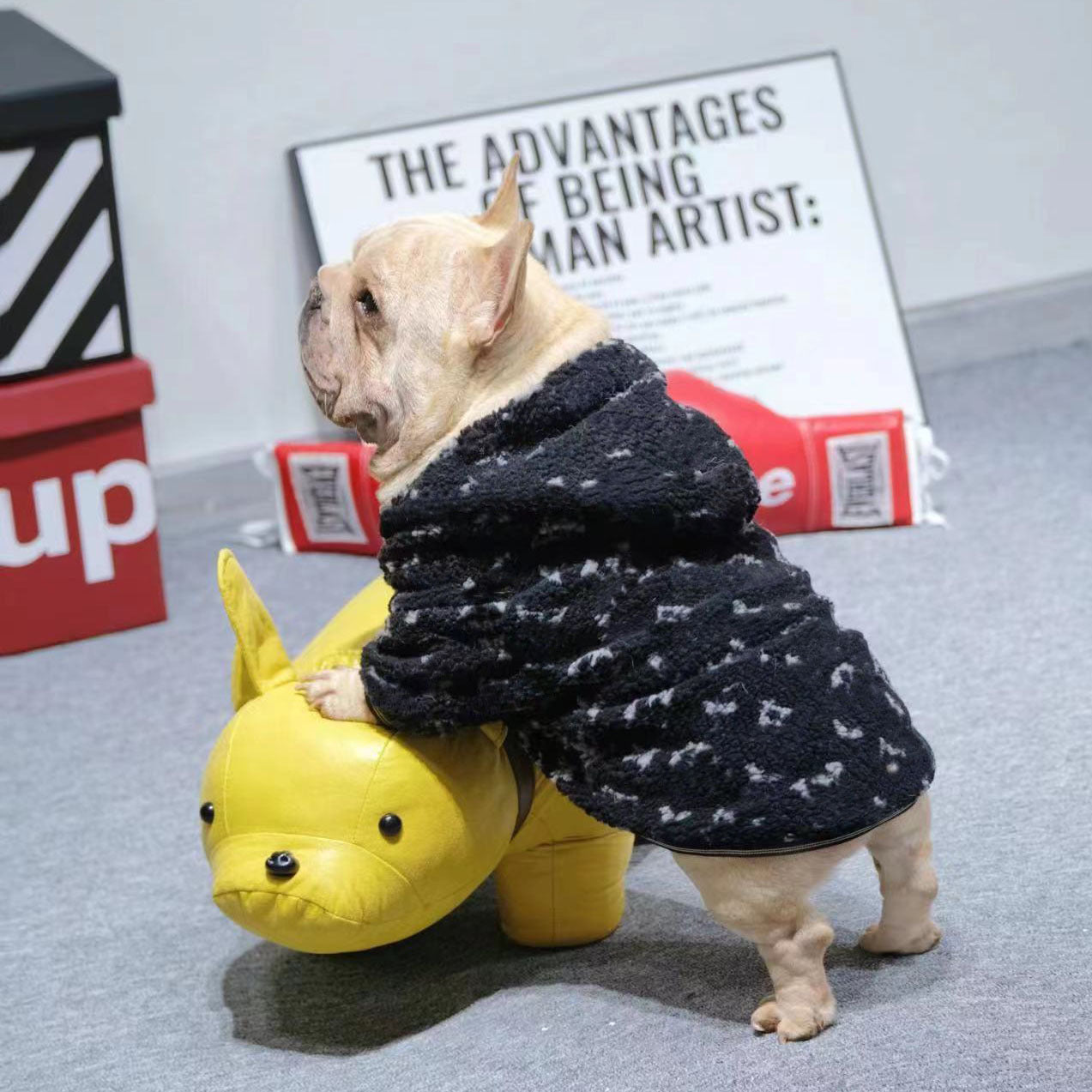 Ropa para perros con capucha y cremallera cálida de lana de cordero con alfabeto