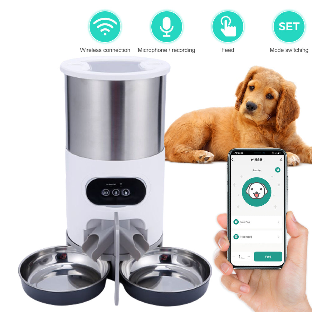 Mangeoire pour animal domestique intelligente, distributeur automatique de nourriture pour chats et chiens, bol en acier inoxydable pour chats et chiens avec enregistrement de l'alimentation