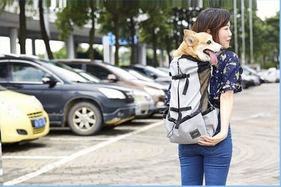 Mochila para mascotas ventilada y transpirable