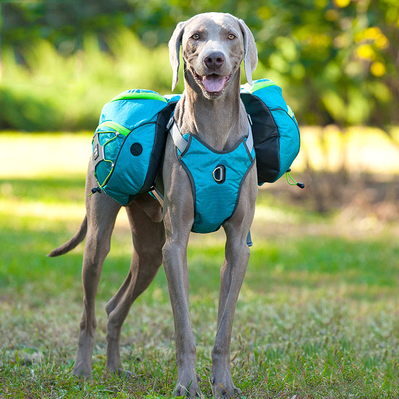 Sac à dos pour animaux de compagnie