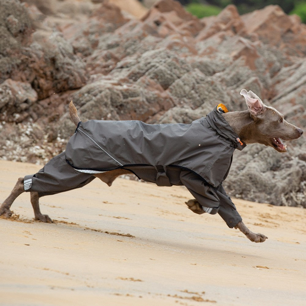 Chubasquero de cuatro patas para mascotas Poncho impermeable para perros medianos y grandes