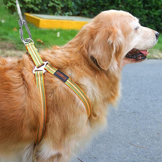 Wire Rope Dog Leash Pet Towing Rope