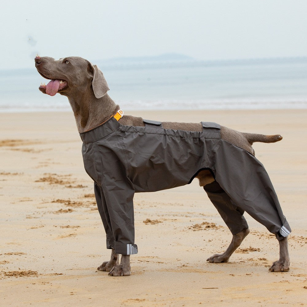 Chubasquero de cuatro patas para mascotas Poncho impermeable para perros medianos y grandes