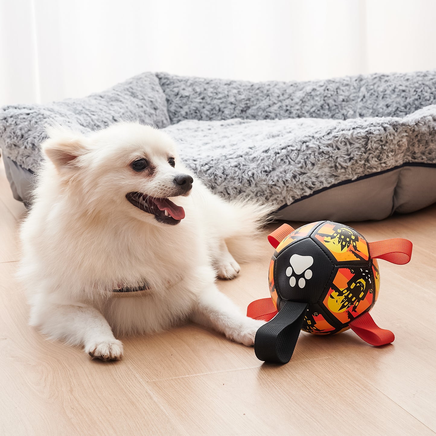 Pelotas de fútbol para perros, juguete con Sraps, regalo de Navidad y Halloween para mascotas, juguete de cumpleaños para cachorros, juguetes interactivos para tira y afloja, juguetes acuáticos 