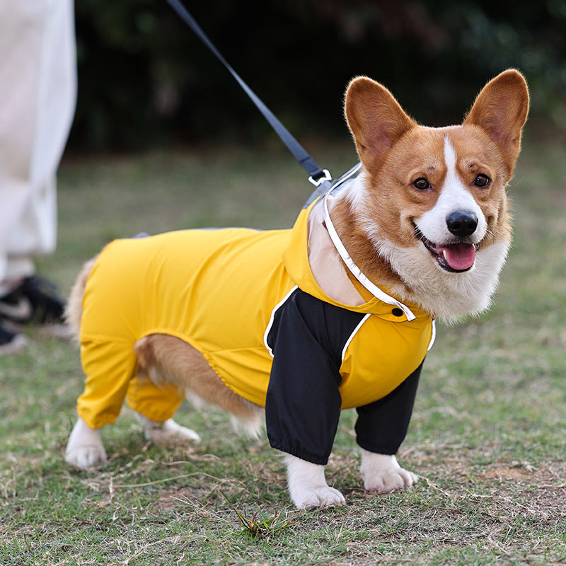 Poncho impermeable para perros con todo incluido para mascotas