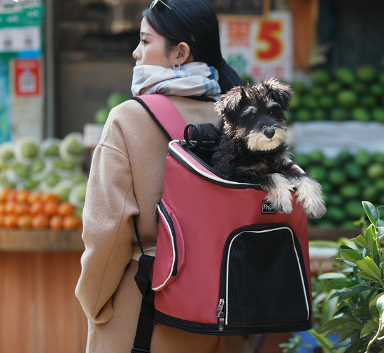 Mochila para perros