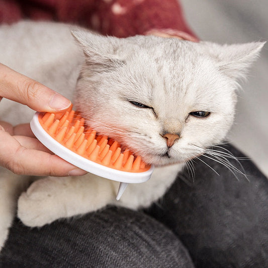 Chat qui gratte les démangeaisons et gratte les cheveux, fournitures de jouets