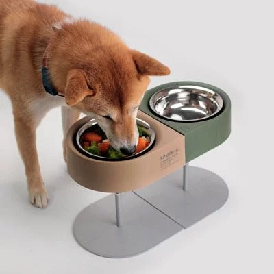 Gamelle de camping pour chat et chien