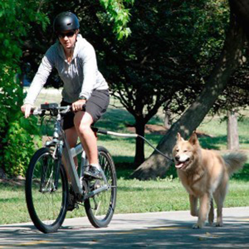 Cuerda de tracción elástica para bicicleta.