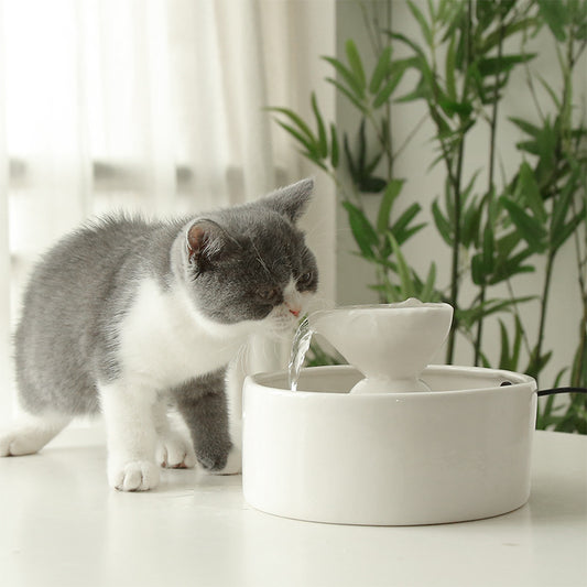 Fontaine de bol à boire à circulation intelligente en céramique pour chats