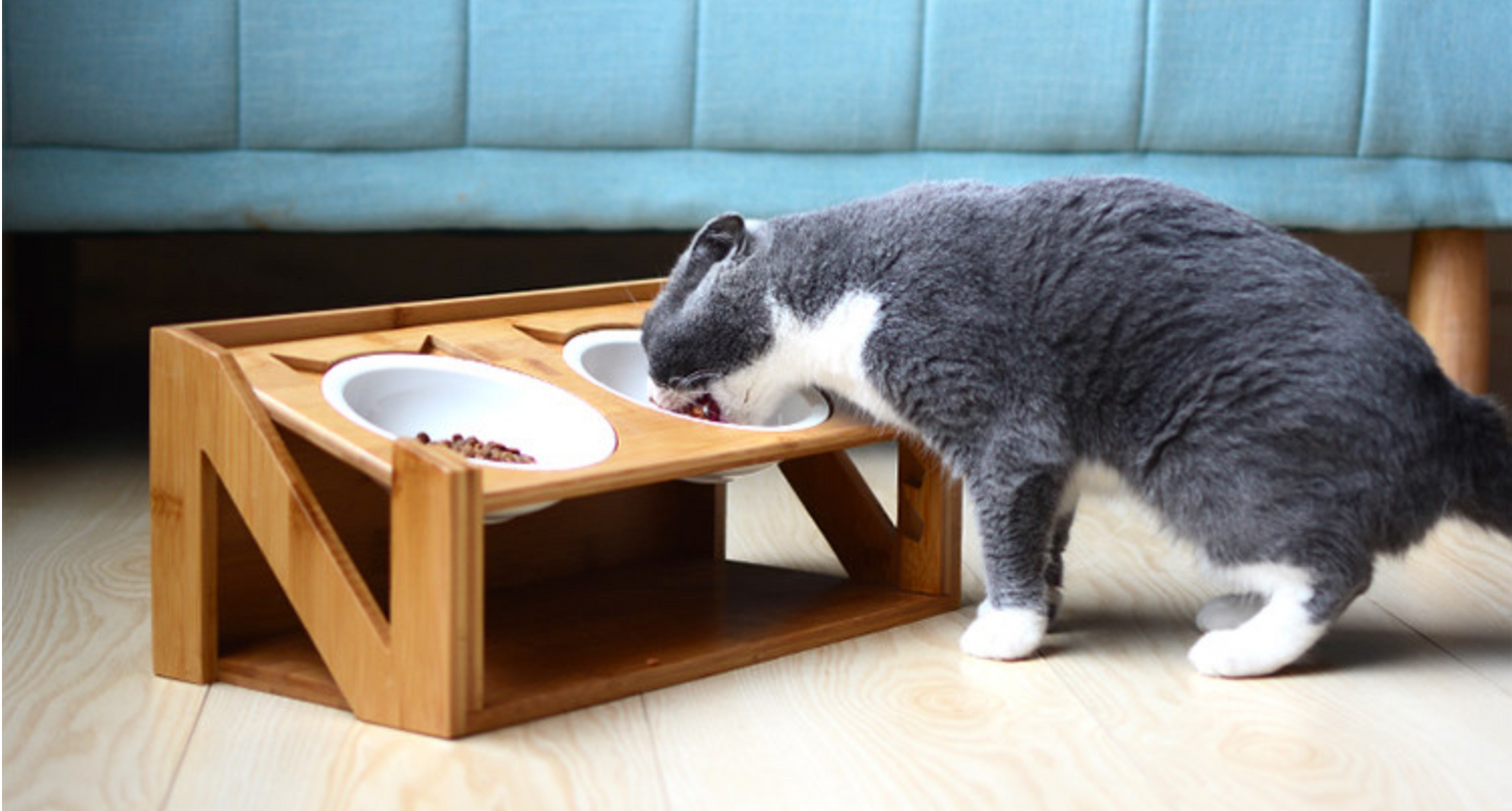 Égouttoir à vaisselle en bois pour gamelle pour chat