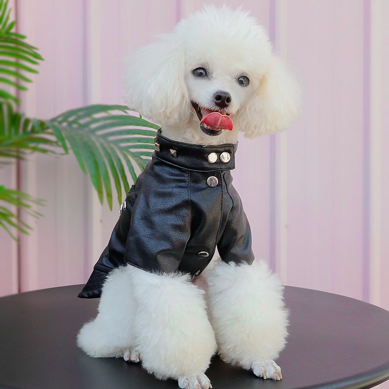 Autumn and Winter Pet Fashion Leather Clothing