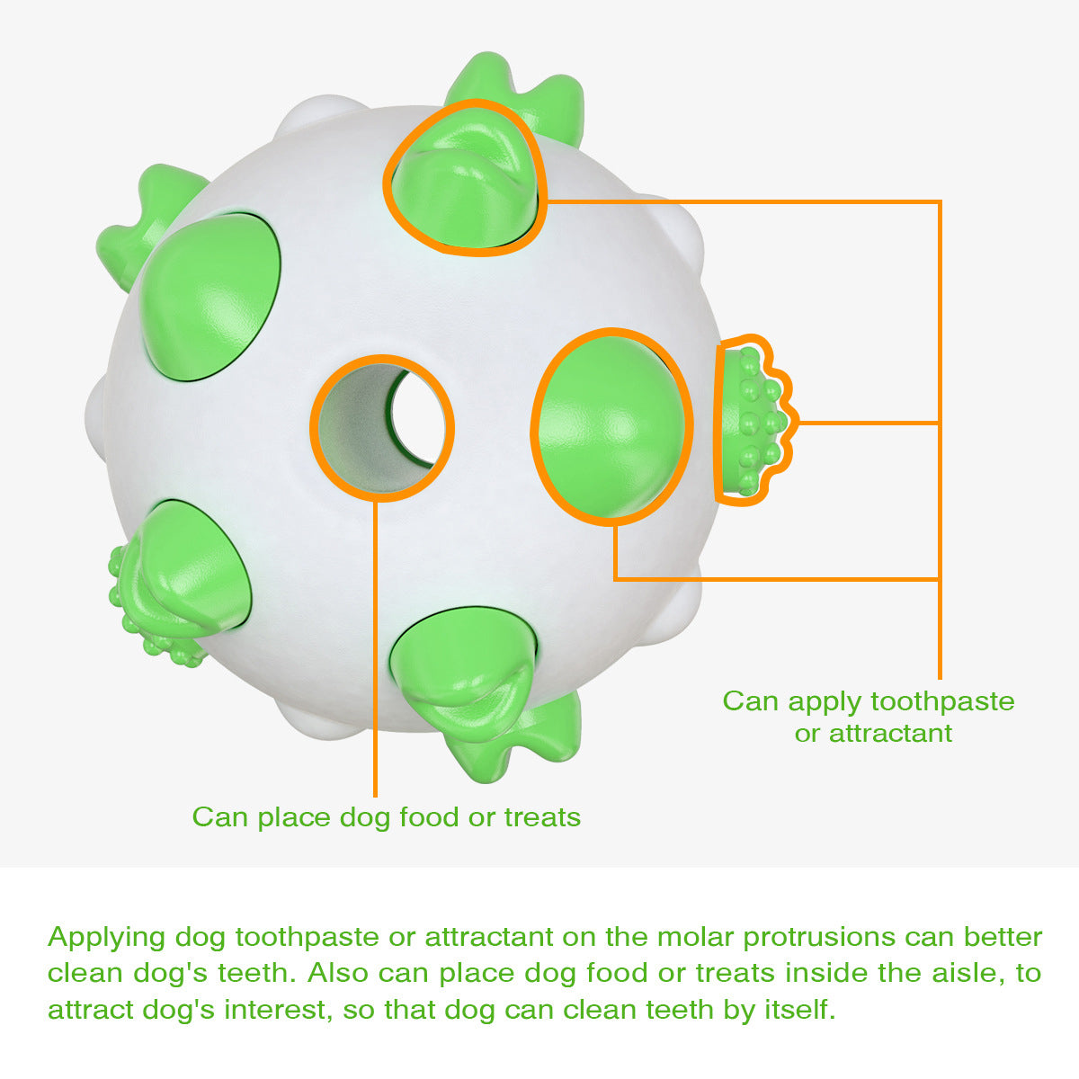 Varilla molar esférica de juguete para perros