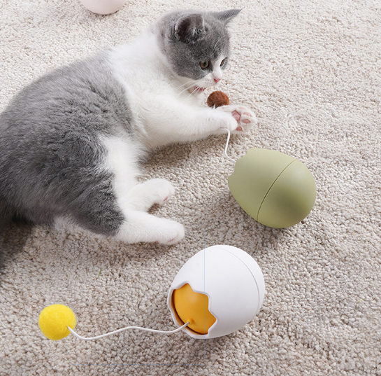 Divertidos juguetes para gatos con artefactos para gatos.