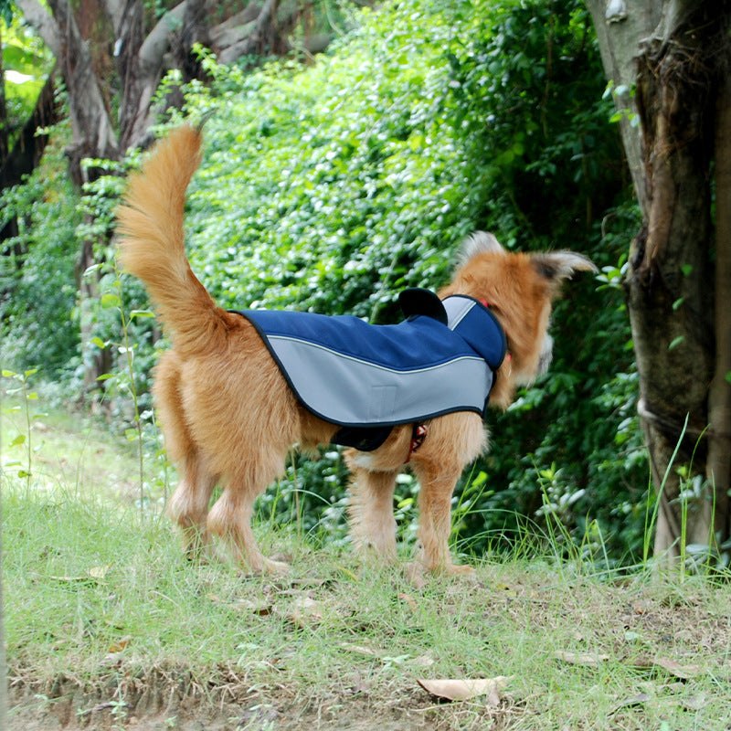 Vêtements pour animaux de compagnie imperméables et respirants, combinaison chaude d'extérieur pour chien