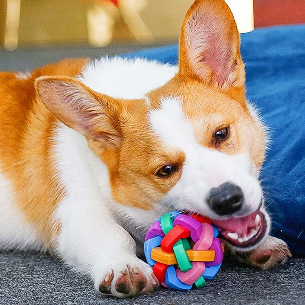 Pelotas para perros iluminadas, campanas con sonidos, pelota para perros, juguetes para masticar para perros intermitentes, pelotas de juego interactivas para saltar, pelota colorida para perros para gatos, perros pequeños, medianos y grandes