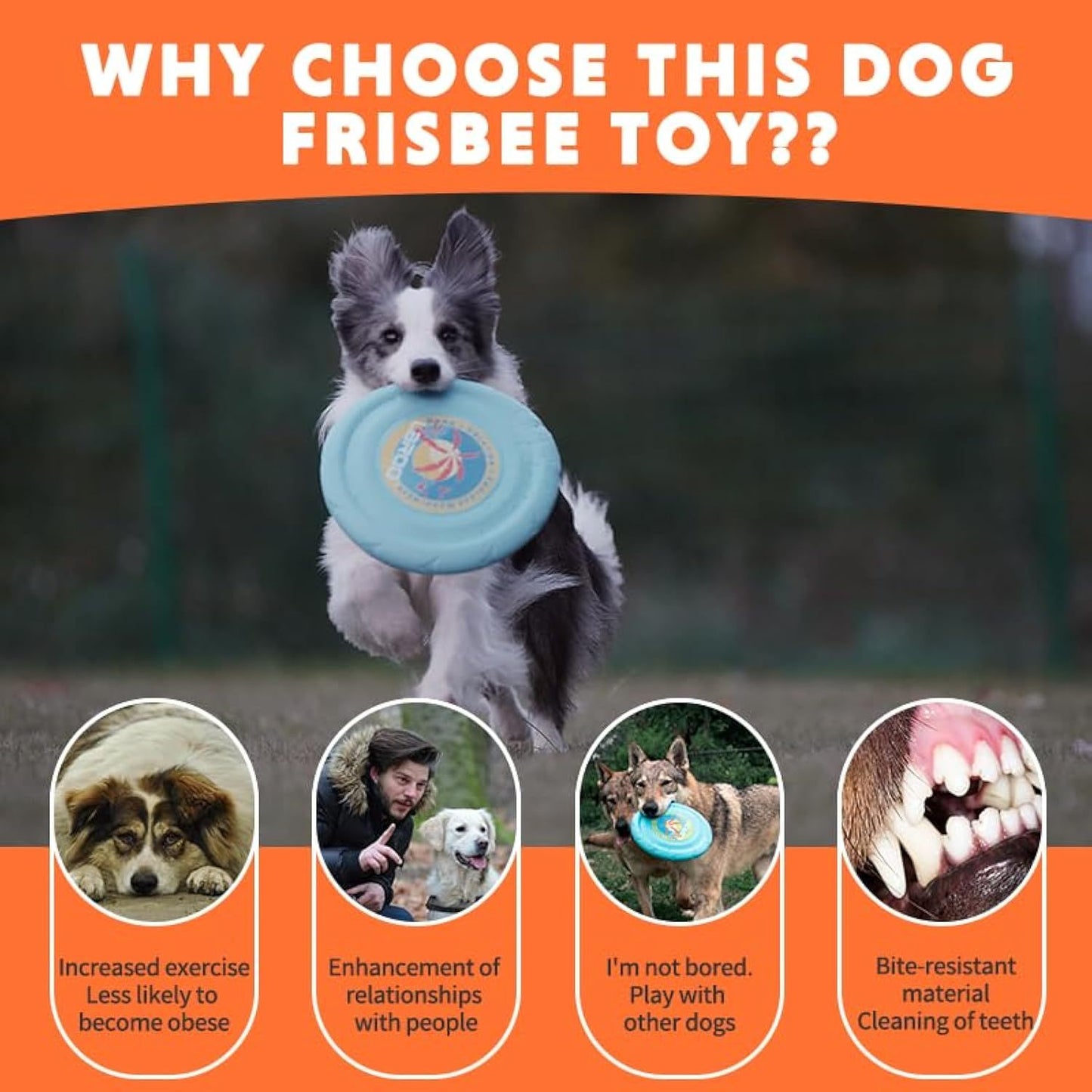 Dog Flying Disc Dog Flying Disc Durable And Interactive Flying Disc For Medium And Large Dogs  Perfect For Summer Parties And Outdoor Playtime