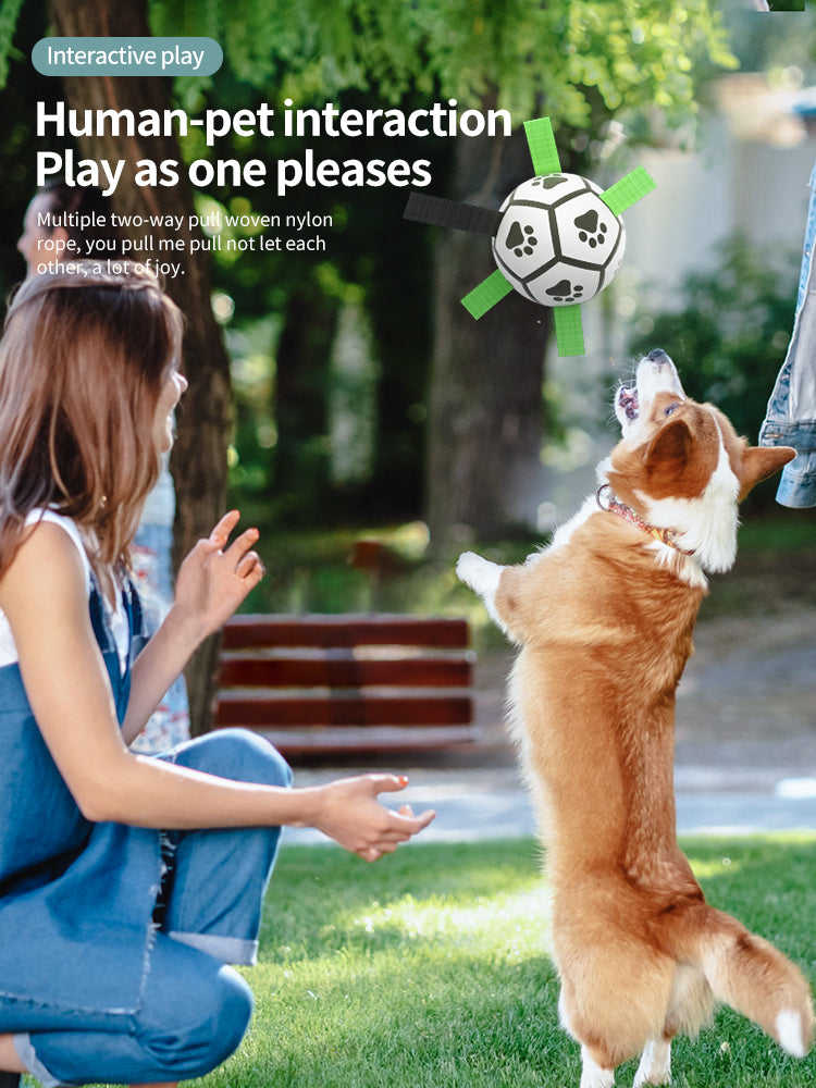 Jouets de ballon de Football en plein air pour animaux de compagnie, jouet de Football d'entraînement de chien de tir à la corde avec languettes de maintien