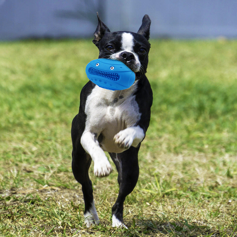 Jouet molaire en caoutchouc naturel pour animal de compagnie, Rugby vocal