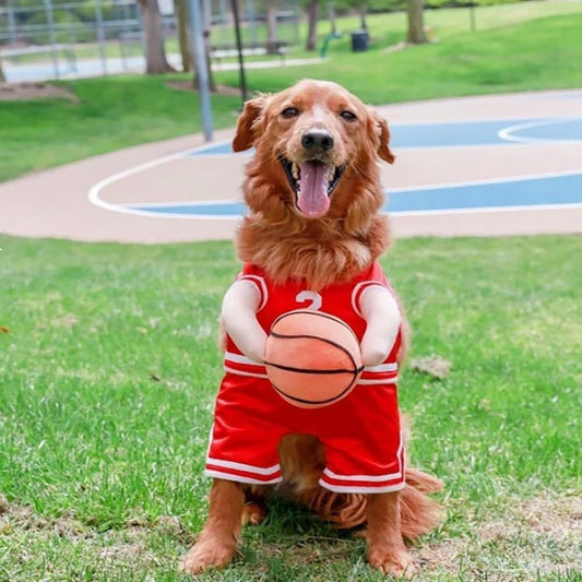 Creative Dog Basketball Costume With Ball