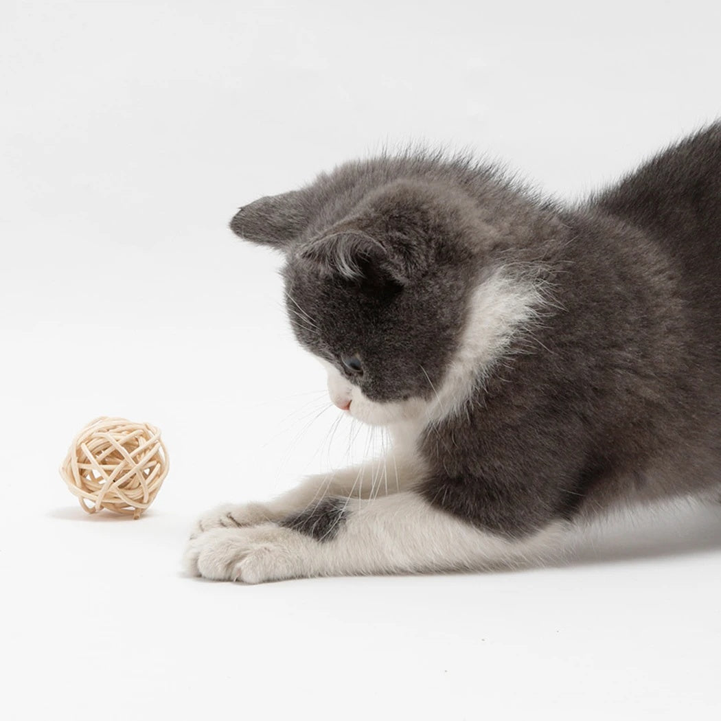 2 piezas de juguete para gatos, pelota de ratán para mascotas, juguete divertido para gatos con plumas de imitación, pelota con campana para gatos, juguetes interactivos para jugar, suministros para mascotas