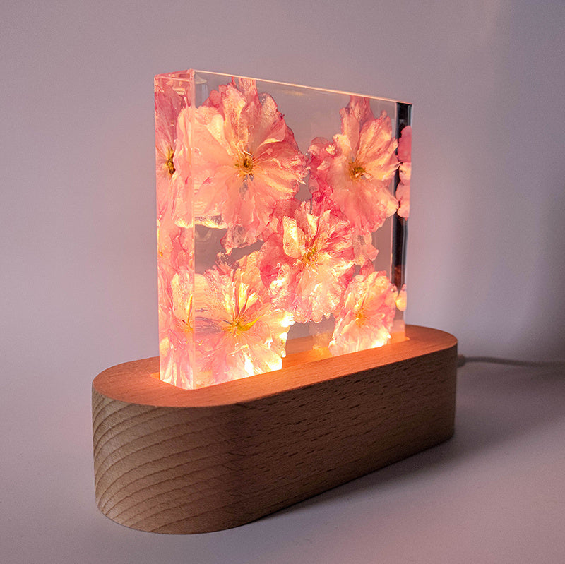 Resin Plant Specimen Small Night Lamp Office Desktop Accessories