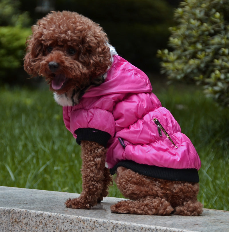 Ropa acolchada de algodón con cremallera para mascotas