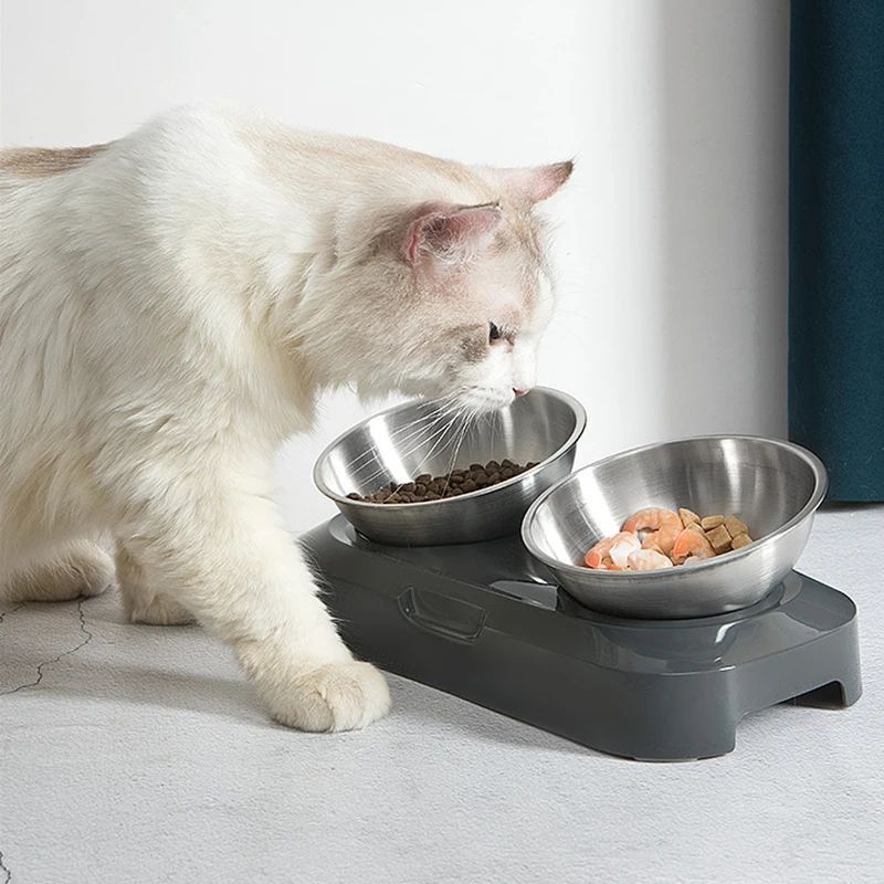 Cuenco de acero inoxidable para gatos, fácil de limpiar, cuencos para comida y agua para perros con soporte, cuenco doble de metal para gatos y perros, comedero individual para mascotas