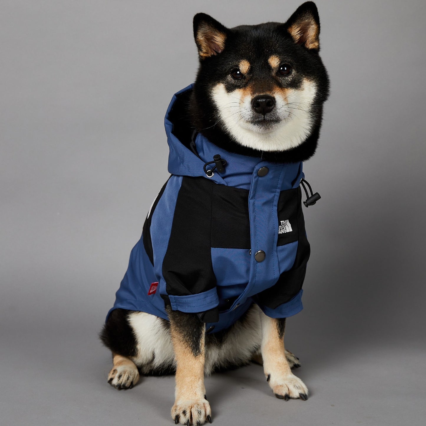 Veste imperméable coupe-vent et imperméable pour grands chiens