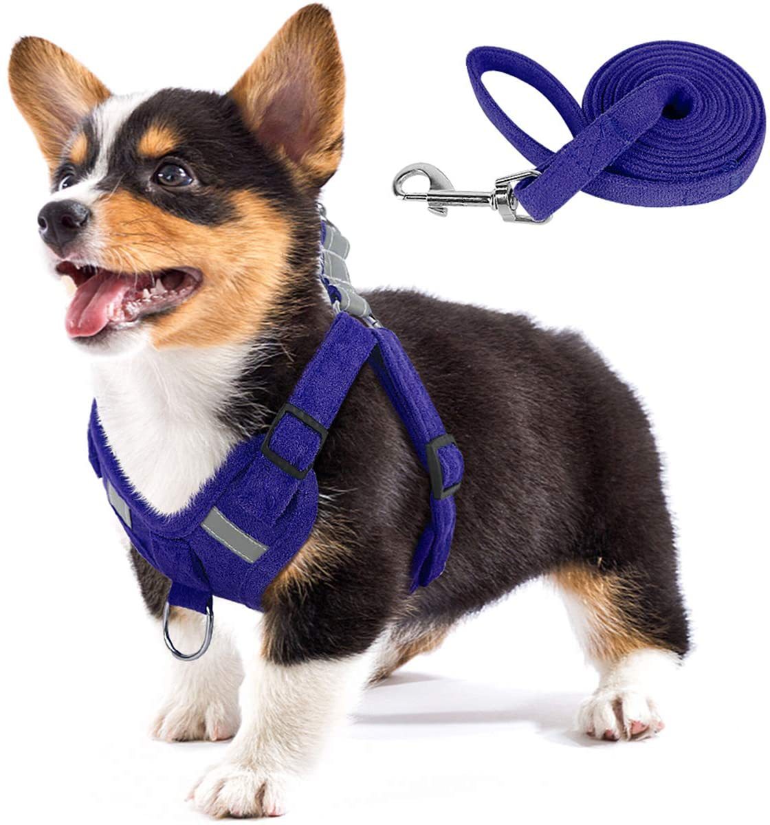 Sangle pour chien en velours, corde réfléchissante et respirante pour chien, animal de compagnie