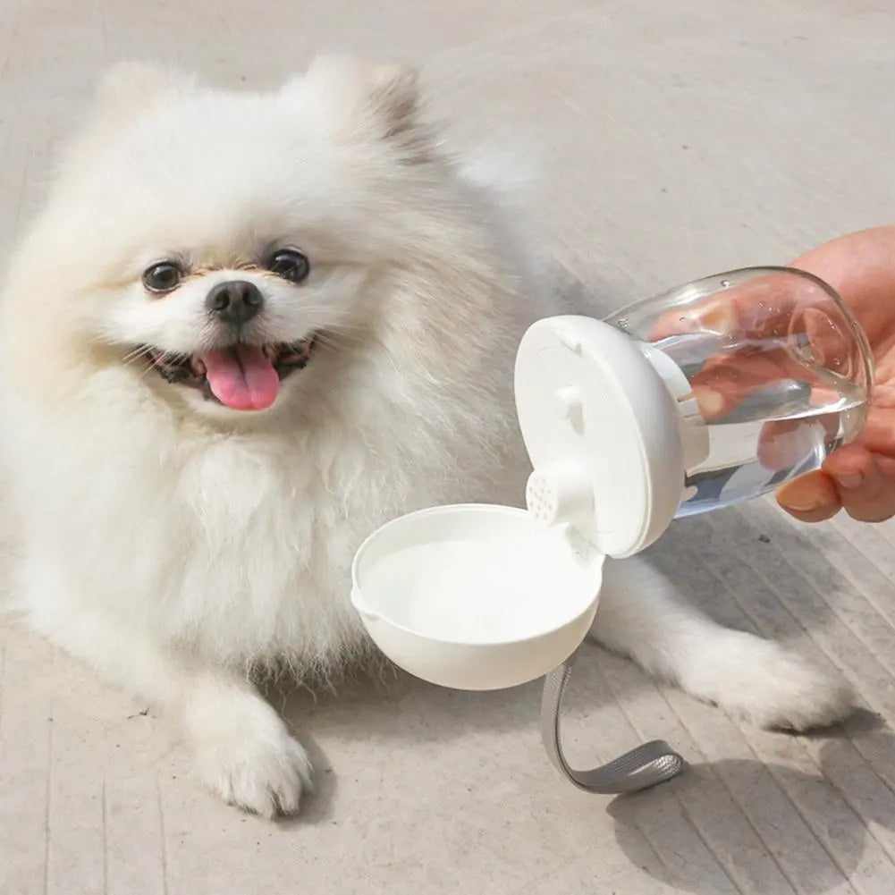 Bouteille d'eau portable pour animaux de compagnie, bol d'alimentation pour voyage en plein air avec cordon pour petits et moyens chats et chiens, fournitures pour animaux de compagnie, résistance aux hautes températures