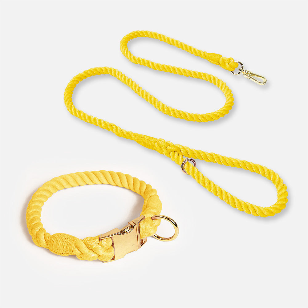 Collier pour animaux de compagnie en corde de coton de couleur dégradée tissée