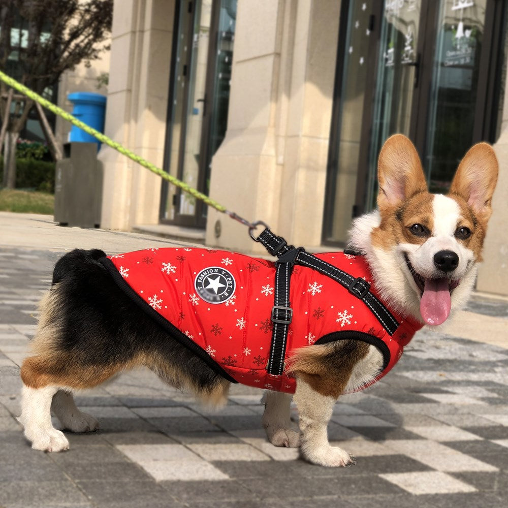 Ropa de otoño e invierno, ropa cálida para mascotas, cinta reflectante impermeable, pecho, espalda, algodón para perros