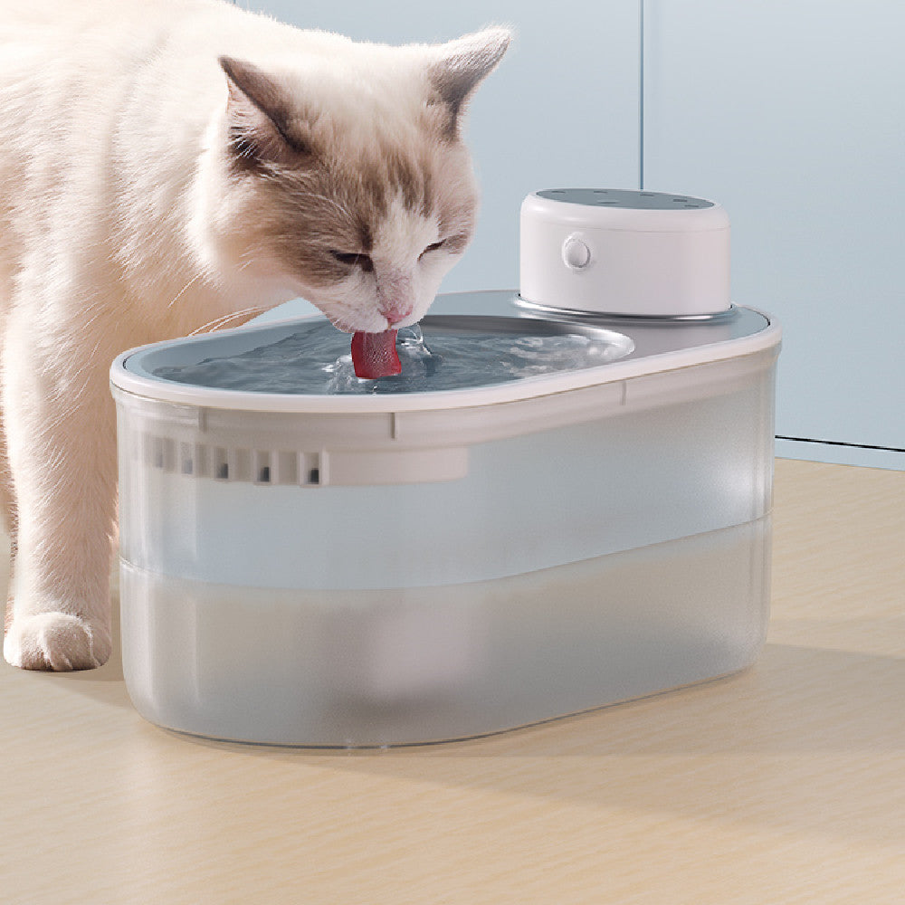 Distributeur d'eau débranché pour chiens et chats, circulation automatique, eau pour animaux de compagnie