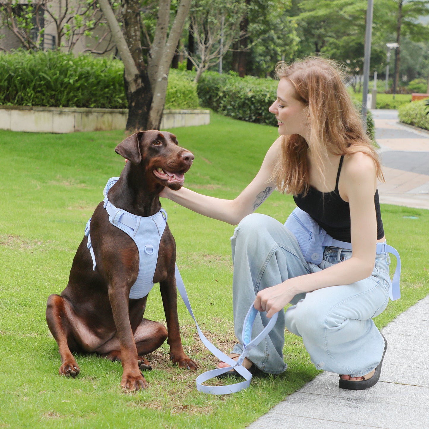 Main tenant la corde anti-déflagrant poitrine dos costume élargi collier pour animaux de compagnie Mini cartable chien tabouret sac