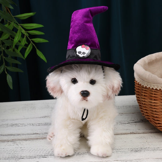 Sombrero de Halloween para mascota con correa de tela de terciopelo y calavera