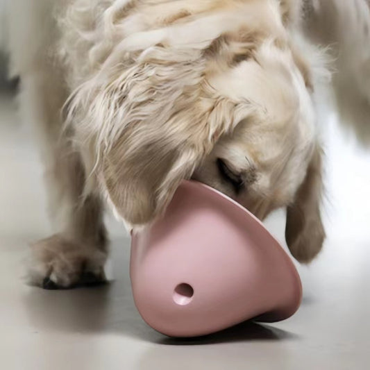 Juguete interactivo para perros masticando comida oculta royendo