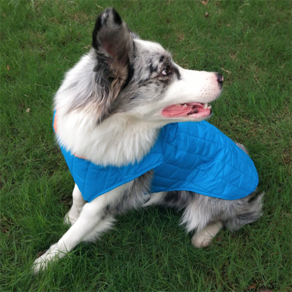 Vêtements pour chien à carreaux bicolores