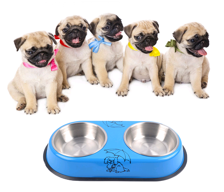 High quality stainless steel double bowl dog food utensils paint detachable double bowl pet supplies