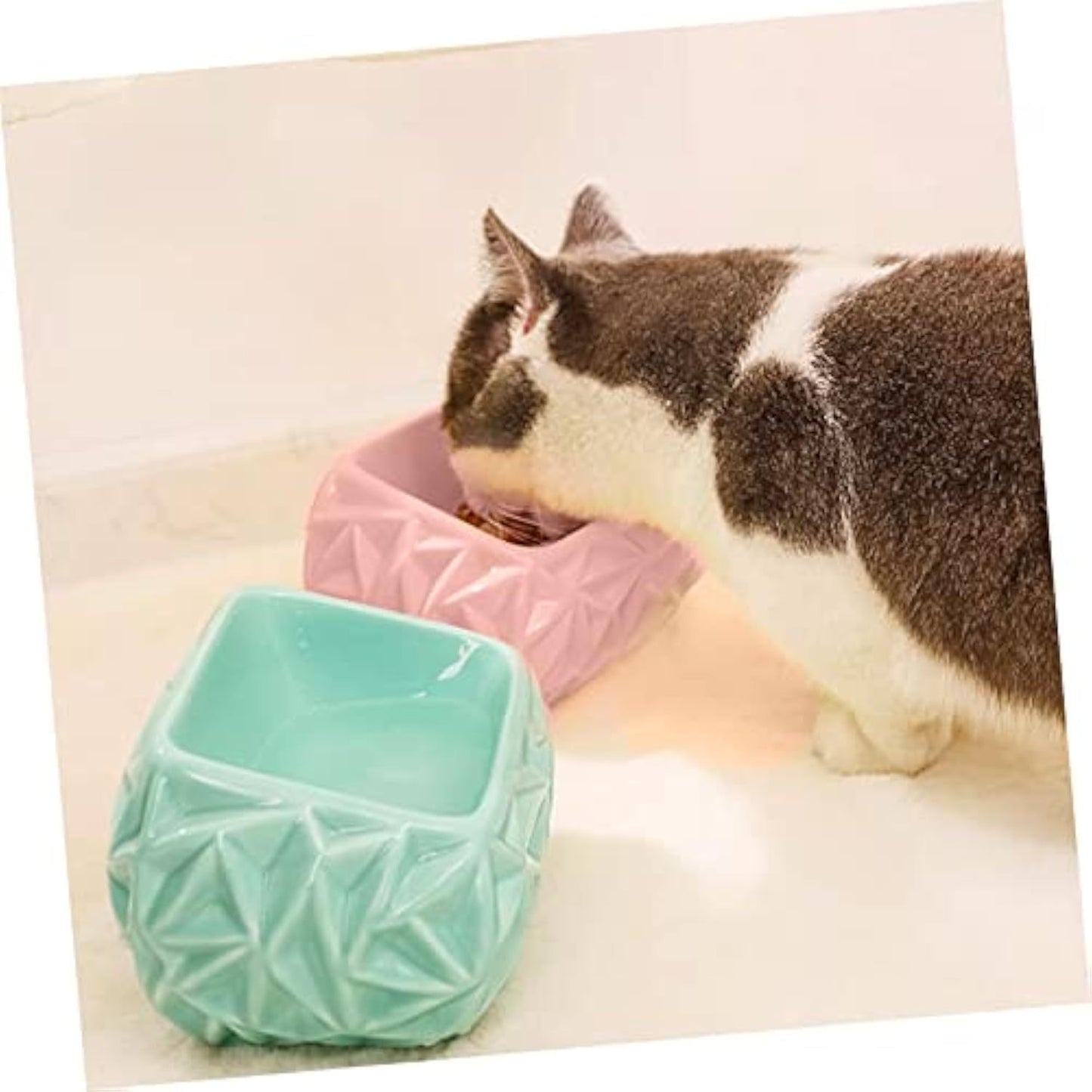 Bol pour chat Bol pour chaton Bol d'alimentation en céramique pour animaux de compagnie Design mignon Bols de nourriture pour chien et chat pour friandises et eau Mangeoire pour chaton et chiot Nid d'oiseau rose pour animaux de compagnie