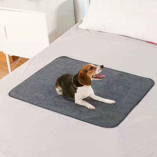 Couverture générale antidérapante imperméable pour chien de compagnie