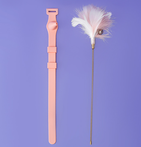 Collier en plumes pour chat, bâton amusant avec cloche attachée au cou, jouet pour chaton résistant aux morsures, auto-guérison